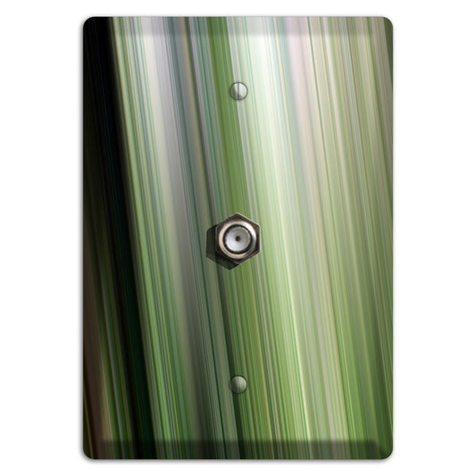 Green Ray of Light 2 Cable Wallplate