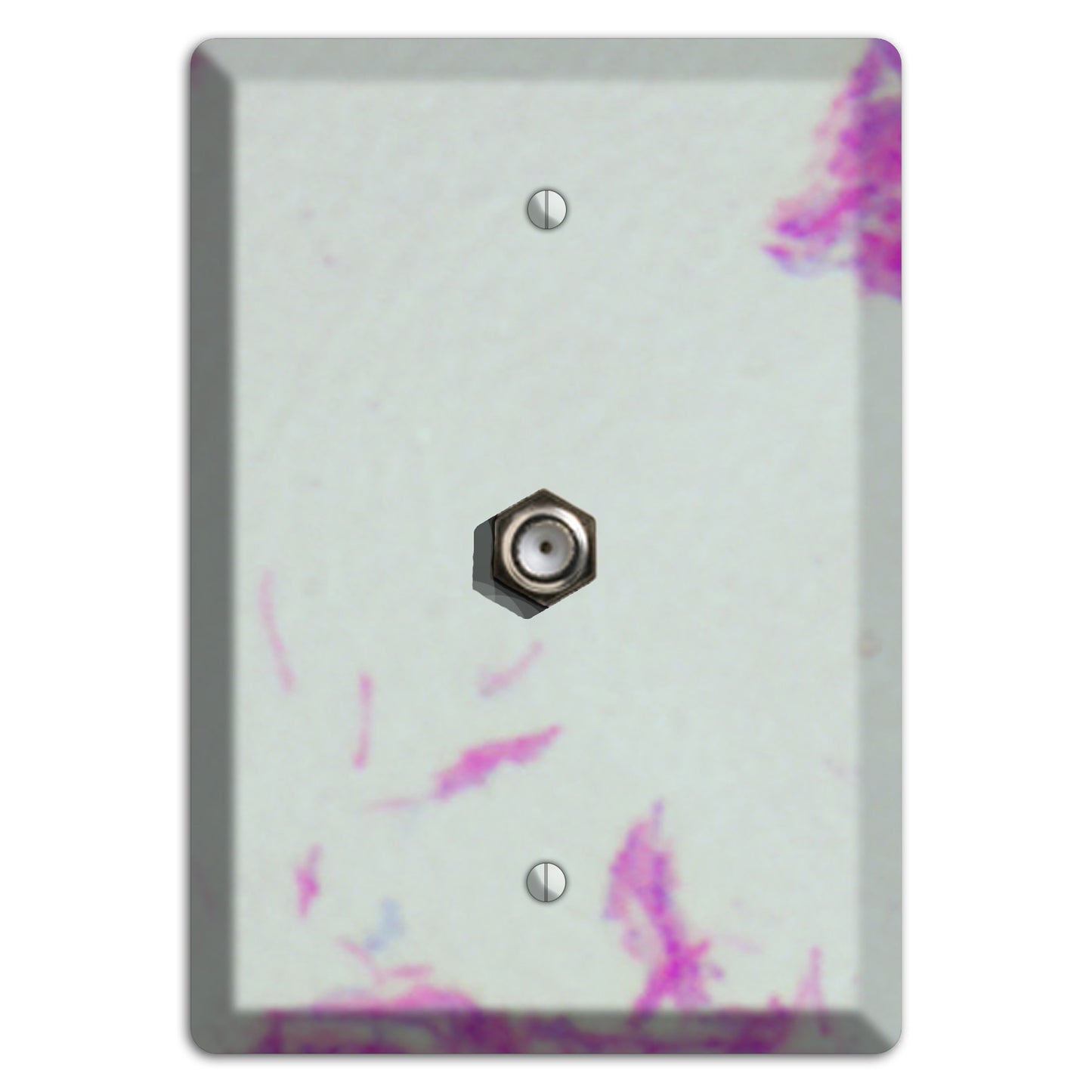 Mycobacterium Bovis Cable Wallplate