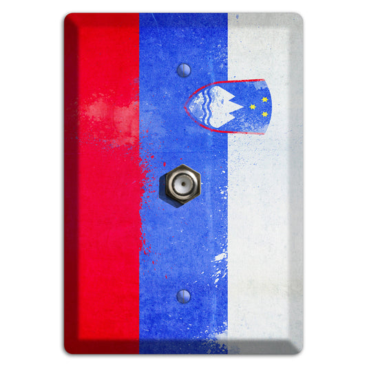 Slovenia Cover Plates Cable Wallplate