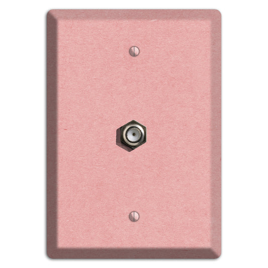 Zinnwaldite Kraft Cable Wallplate