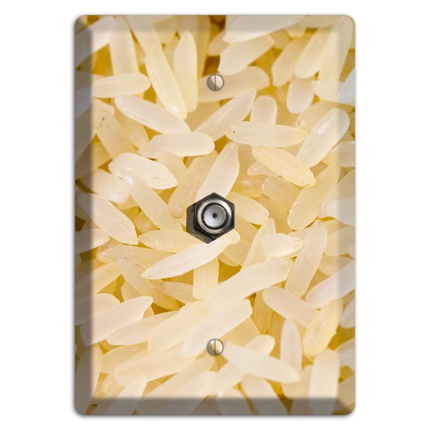 Rice Cable Wallplate