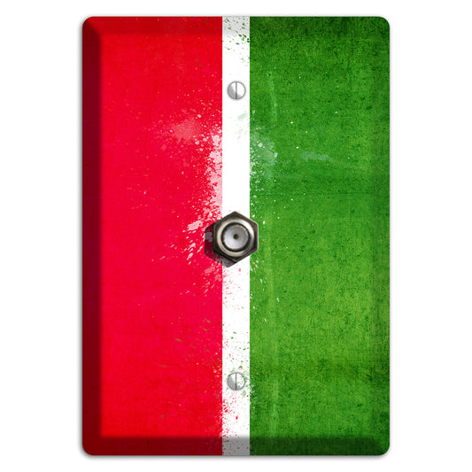 Tatarstan Cover Plates Cable Wallplate