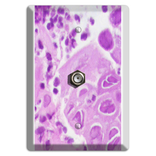 Esophagus Herpes Cable Wallplate