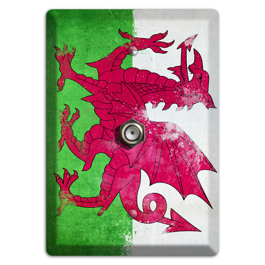 Wales Cover Plates Cable Wallplate