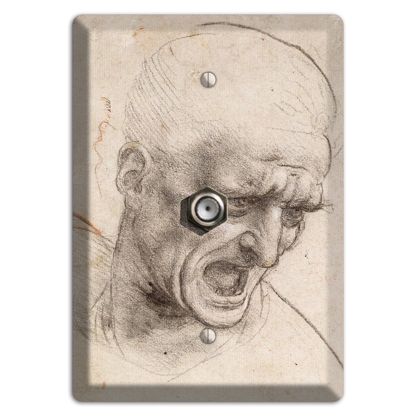 Da Vinci - Study of Two Warriors Cable Wallplate