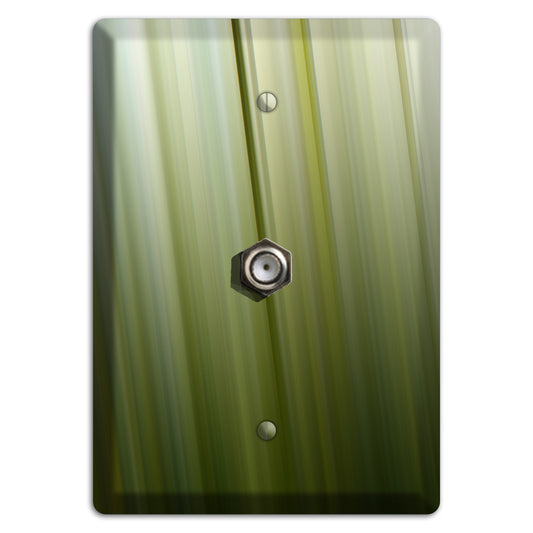 Olive Ray of Light 2 Cable Wallplate