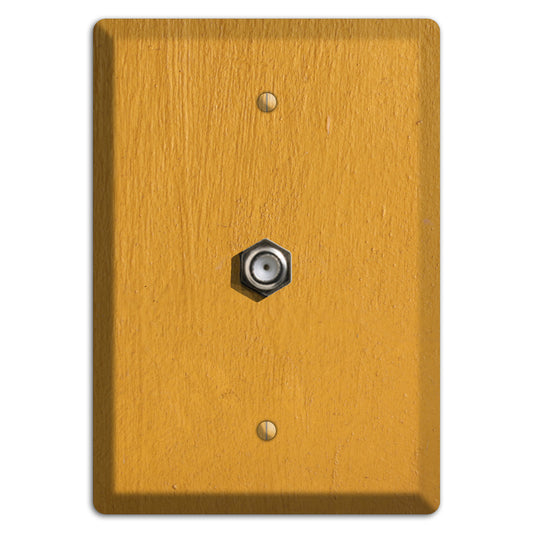 Gold Concrete Cable Wallplate