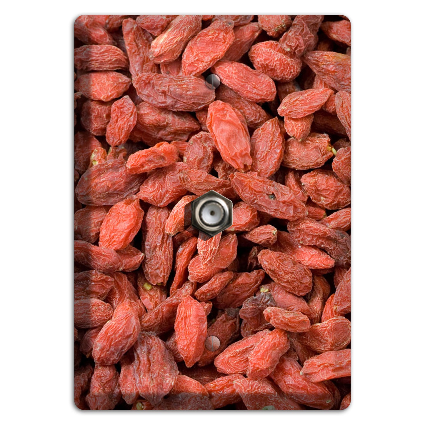 Goji Berries Cable Wallplate