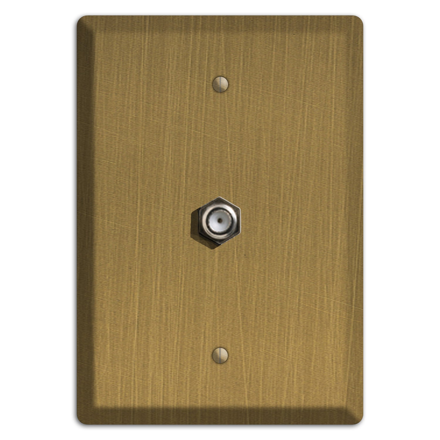 Antique Brushed Solid Brass Cable Wallplate