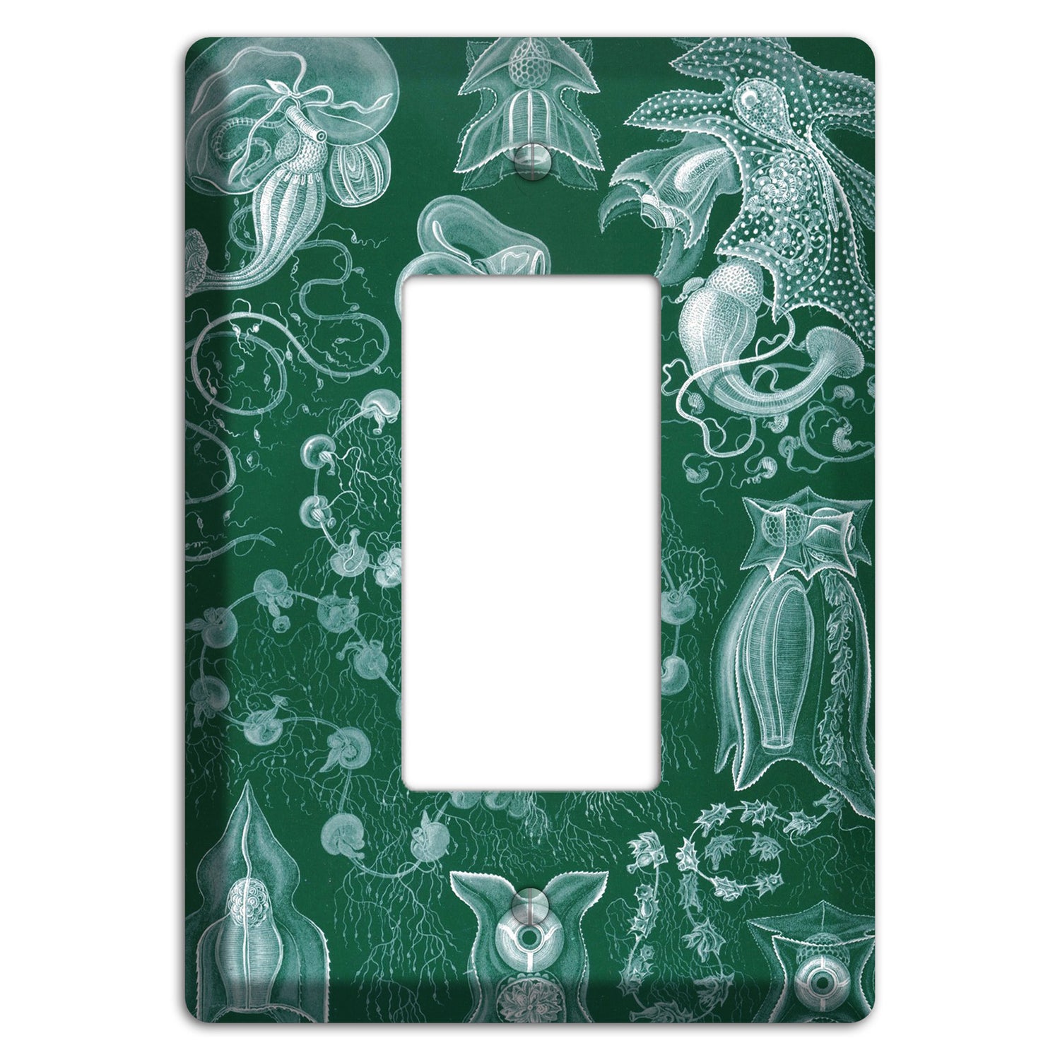 Haeckel - Siphonophorae 2 Rocker Wallplate