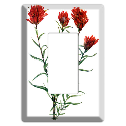 Castilleja Linarifolia Rocker Wallplate