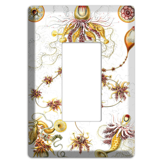 Haeckel - Siphonophorae Rocker Wallplate