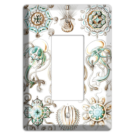 Haeckel - Narcomedusae Rocker Wallplate