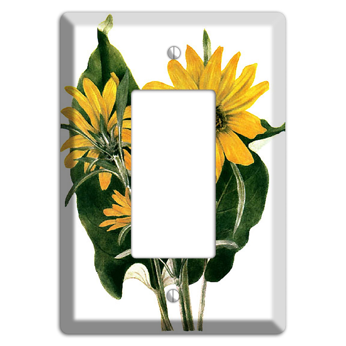 Balsamorhiza Sagittata Rocker Wallplate