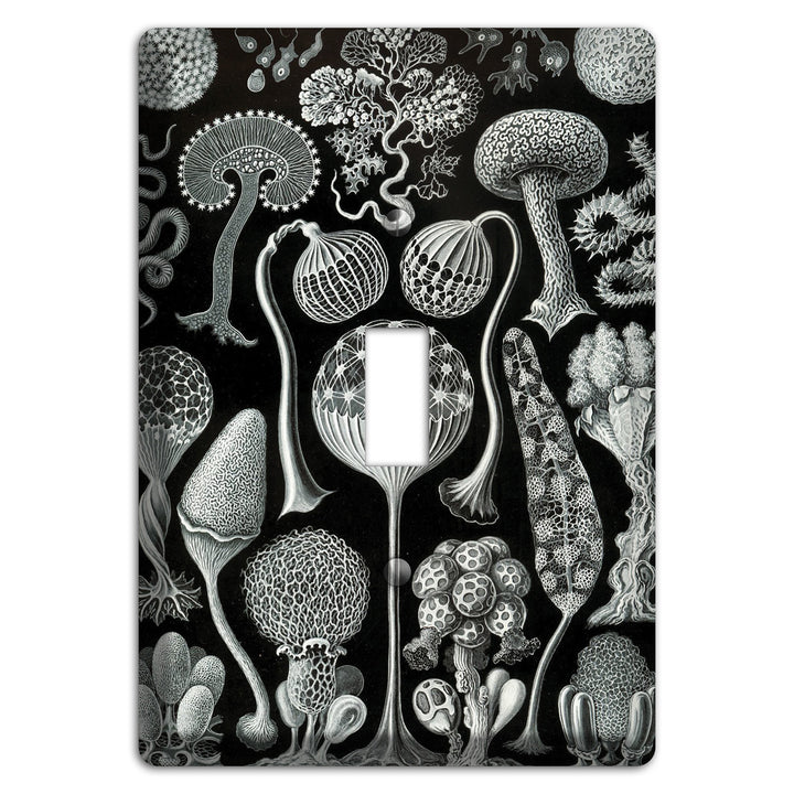 Biological – Wallplates.com