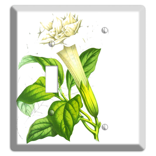 Datura Fastuosa Toggle / Blank Wallplate