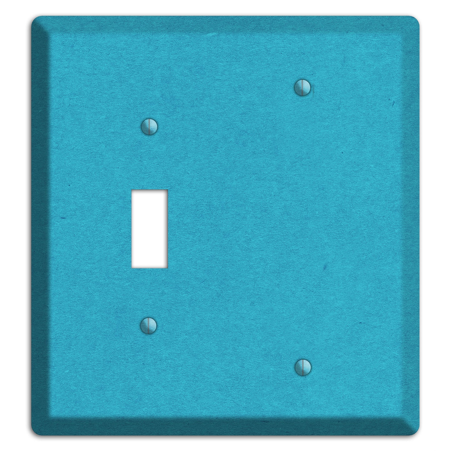 Scooter Kraft Toggle / Blank Wallplate