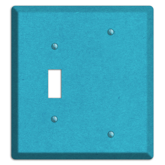 Scooter Kraft Toggle / Blank Wallplate