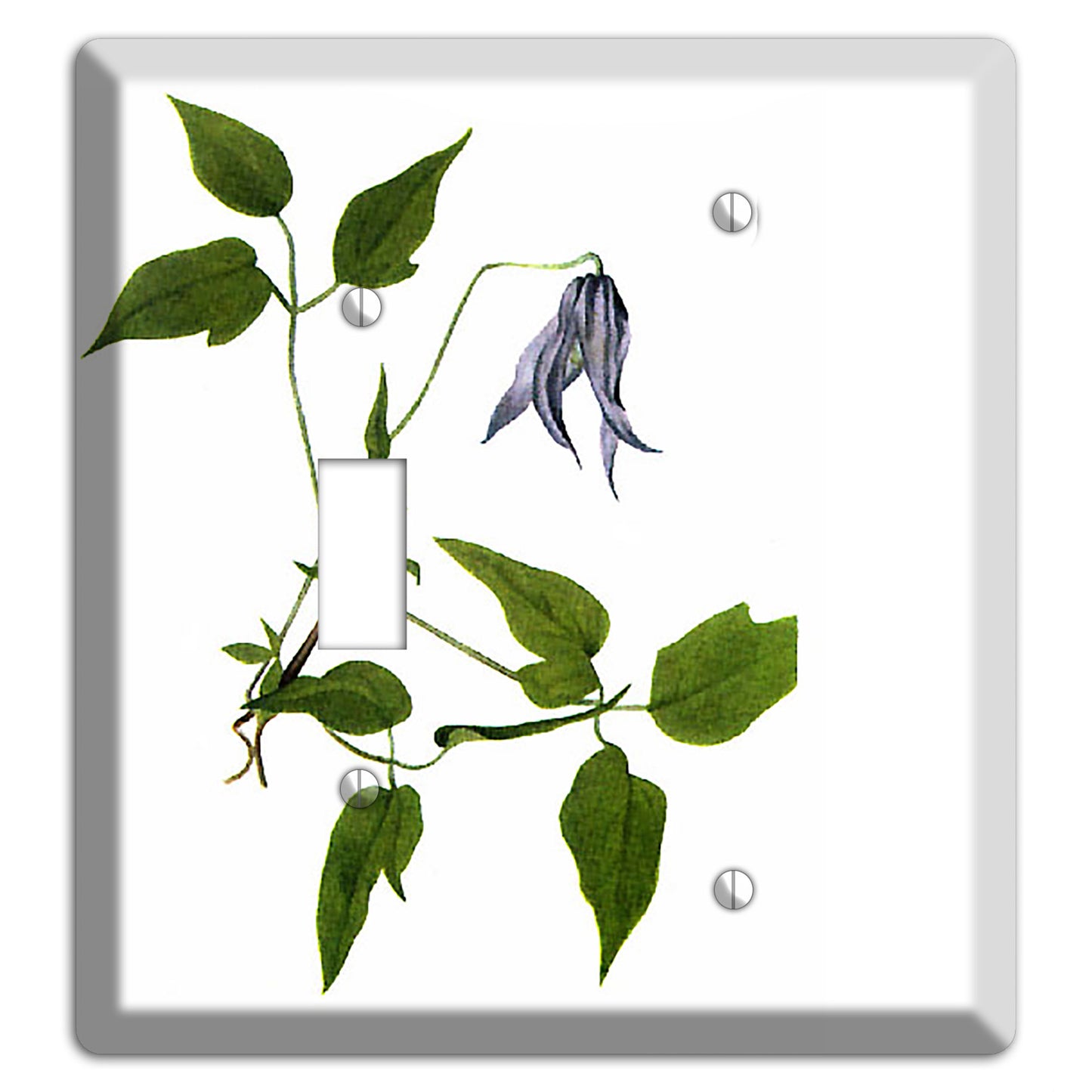 Clematis Columbiana Toggle / Blank Wallplate