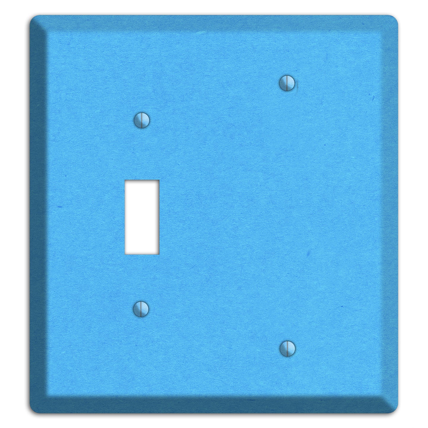 Maya Blue Kraft Toggle / Blank Wallplate