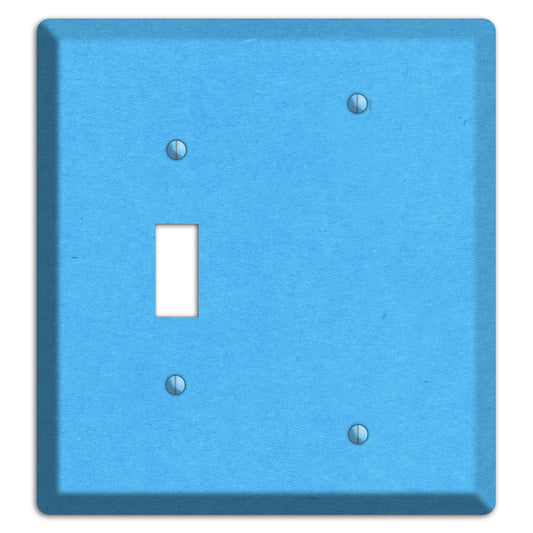 Maya Blue Kraft Toggle / Blank Wallplate