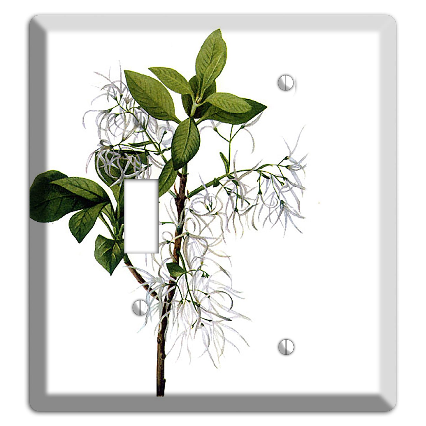 Chionathus Virginiana Toggle / Blank Wallplate