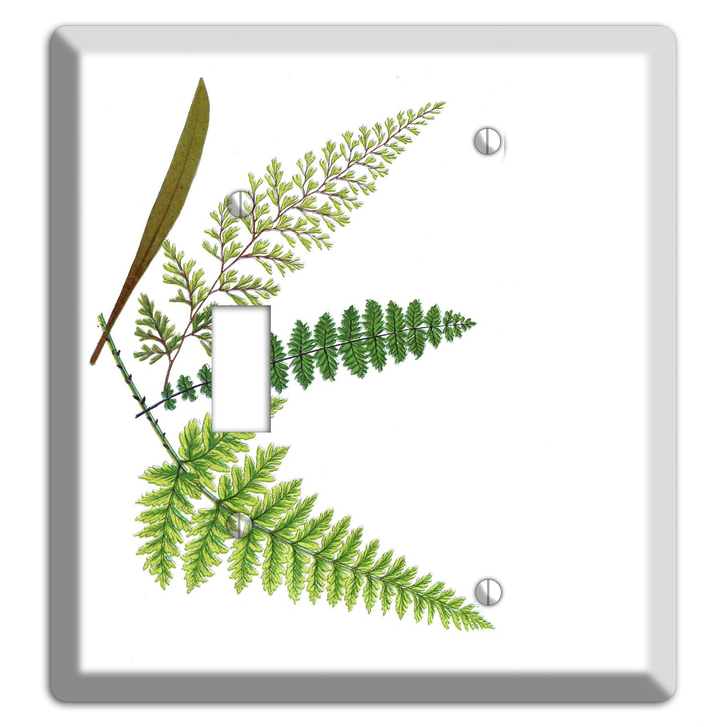 Ferns Toggle / Blank Wallplate