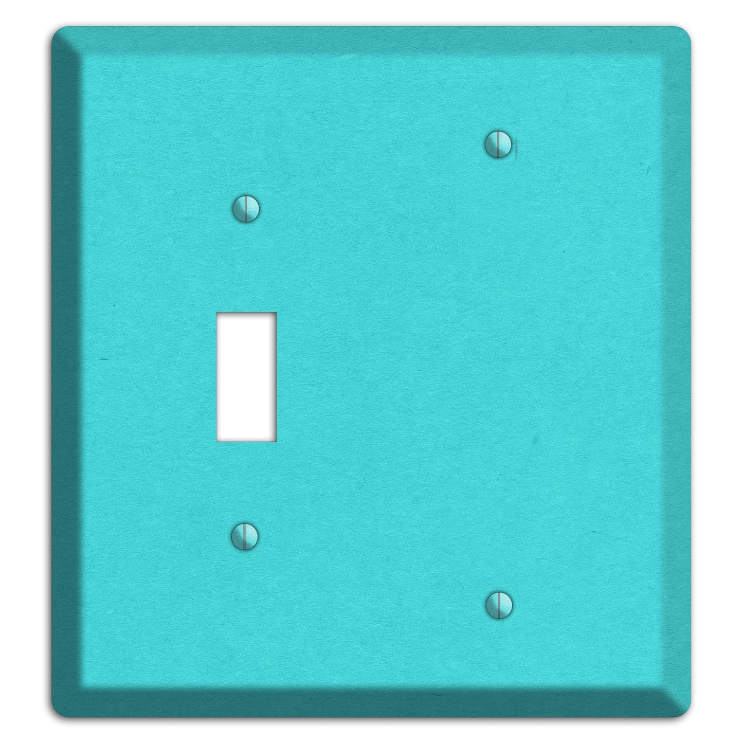 Turquoise Kraft Toggle / Blank Wallplate