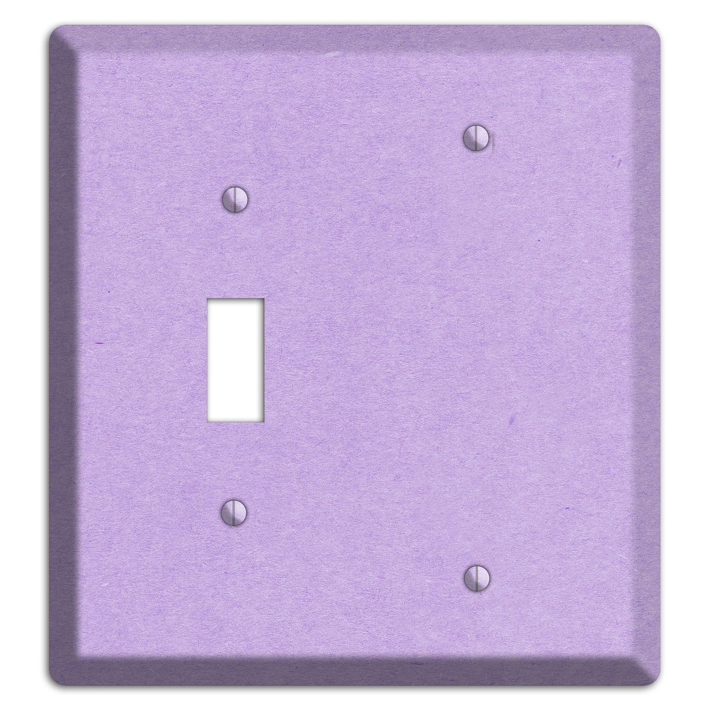 Wisteria Kraft Toggle / Blank Wallplate