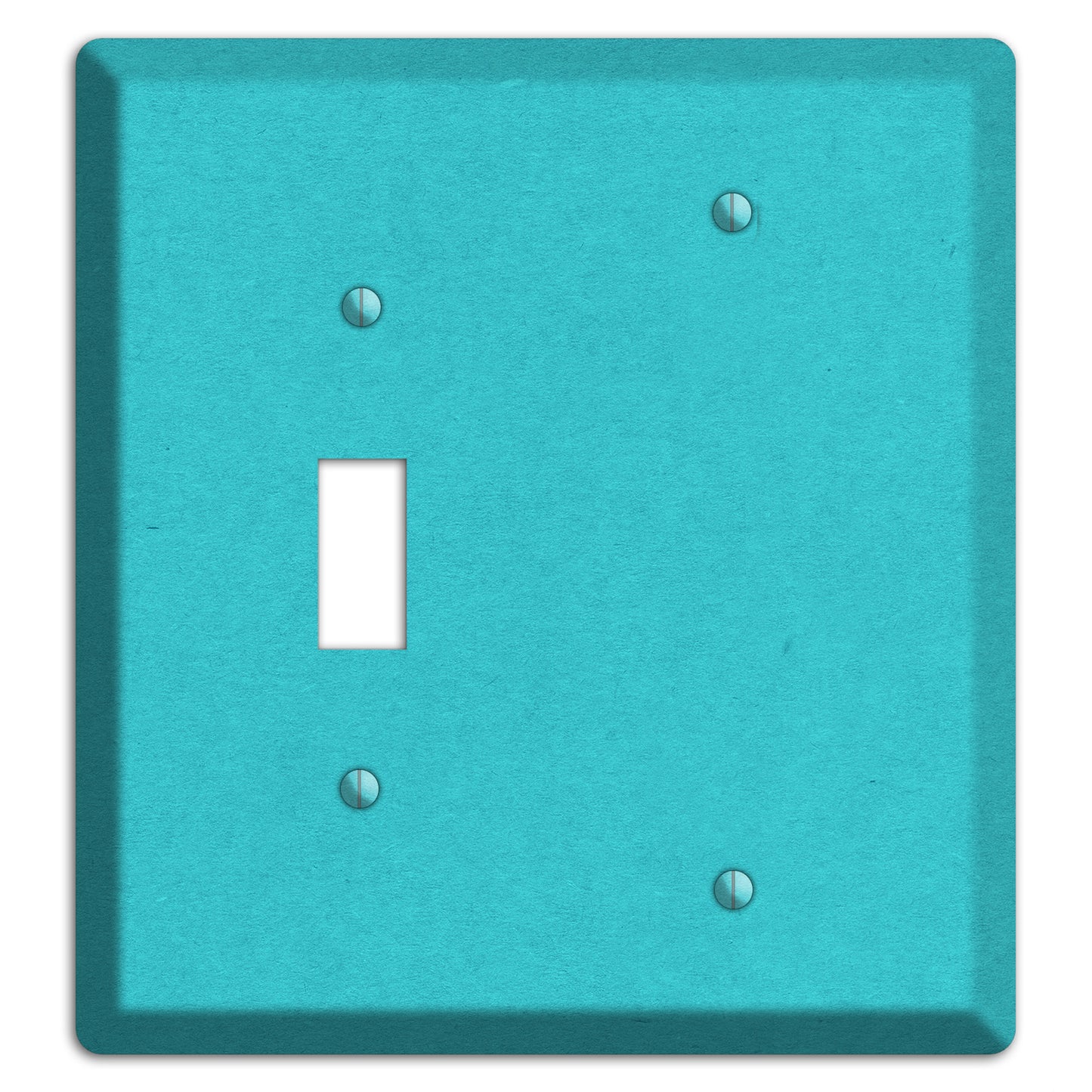 Medium Turquoise Kraft Toggle / Blank Wallplate