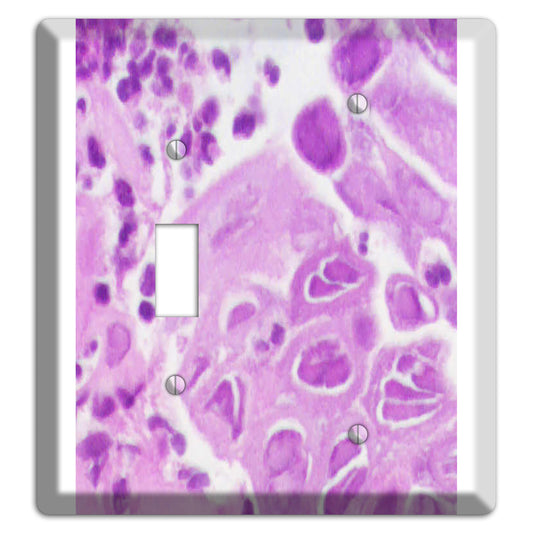 Esophagus Herpes Toggle / Blank Wallplate