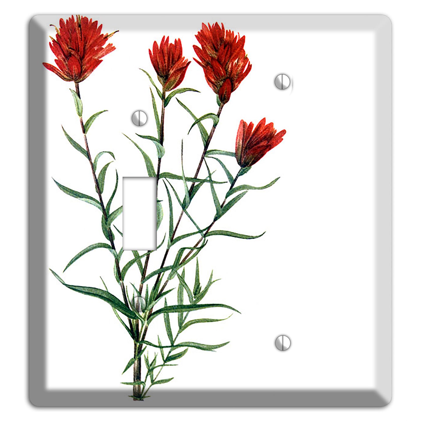 Castilleja Linarifolia Toggle / Blank Wallplate