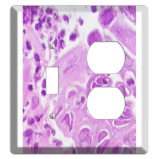 Esophagus Herpes Toggle / Duplex Wallplate