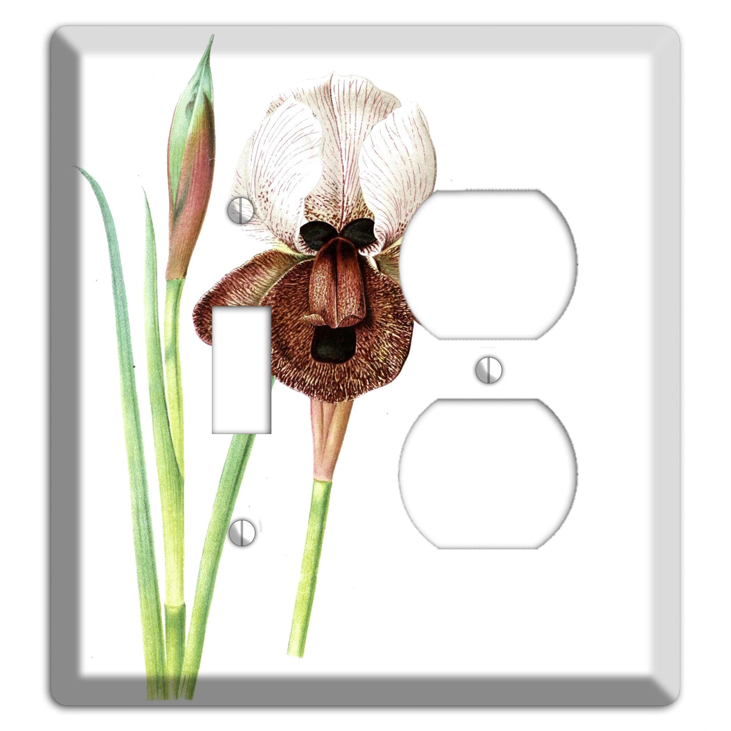 White iris Toggle / Duplex Wallplate