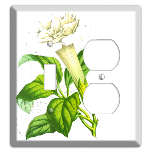 Datura Fastuosa Toggle / Duplex Wallplate