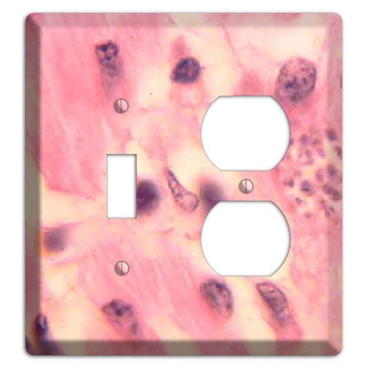 Trypanosoma Cruzi Heart Toggle / Duplex Wallplate