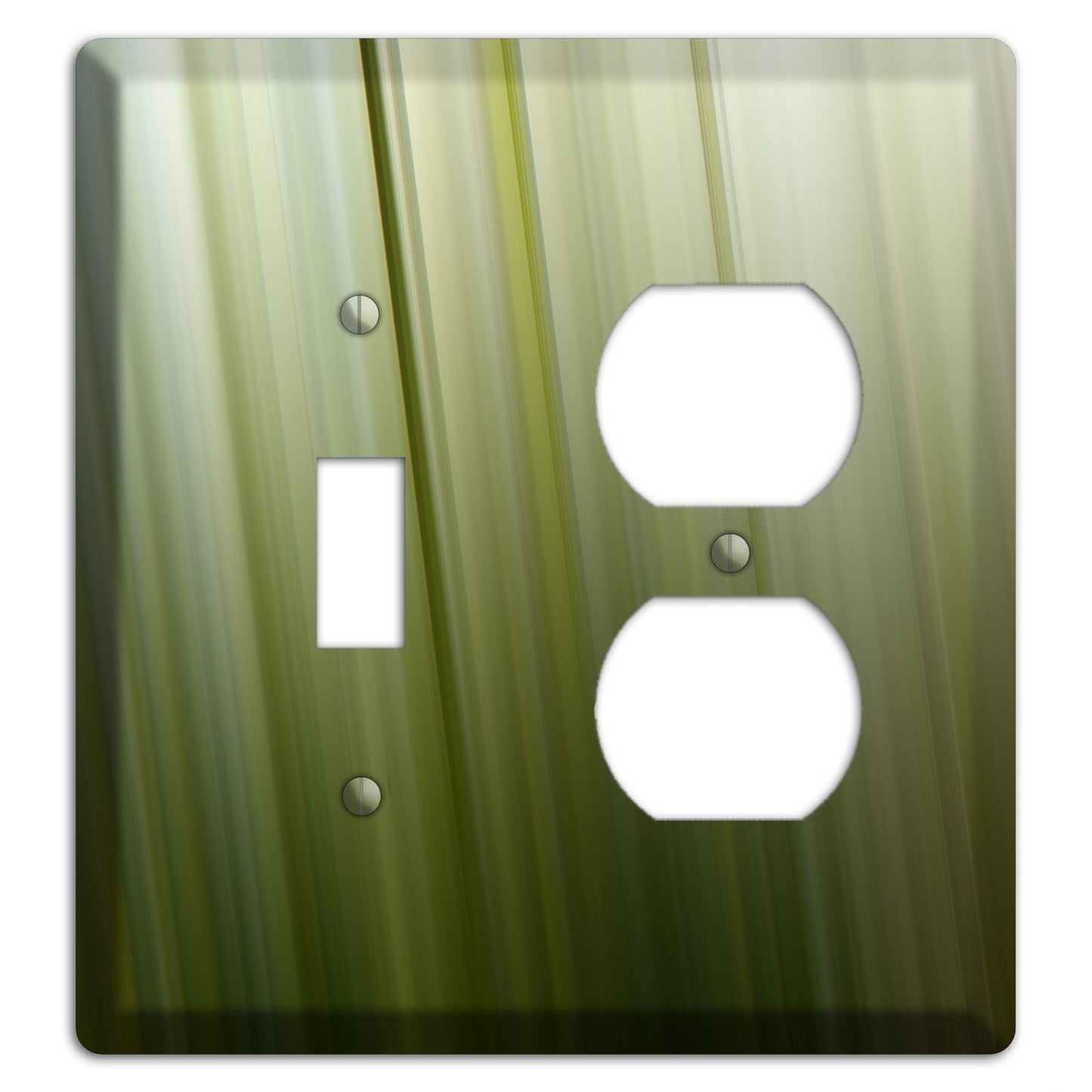 Olive Ray of Light 2 Toggle / Duplex Wallplate