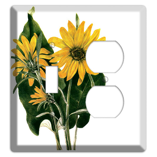 Balsamorhiza Sagittata Toggle / Duplex Wallplate