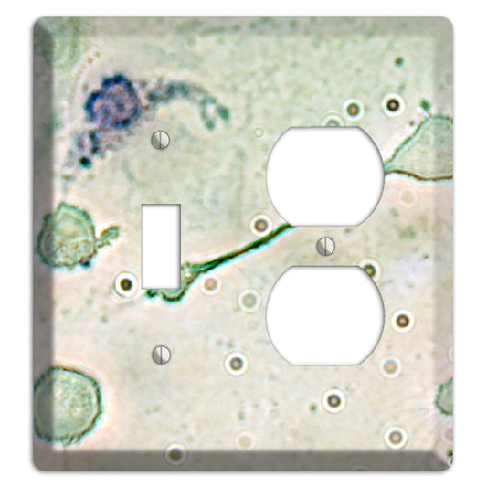 Macrophage Toggle / Duplex Wallplate