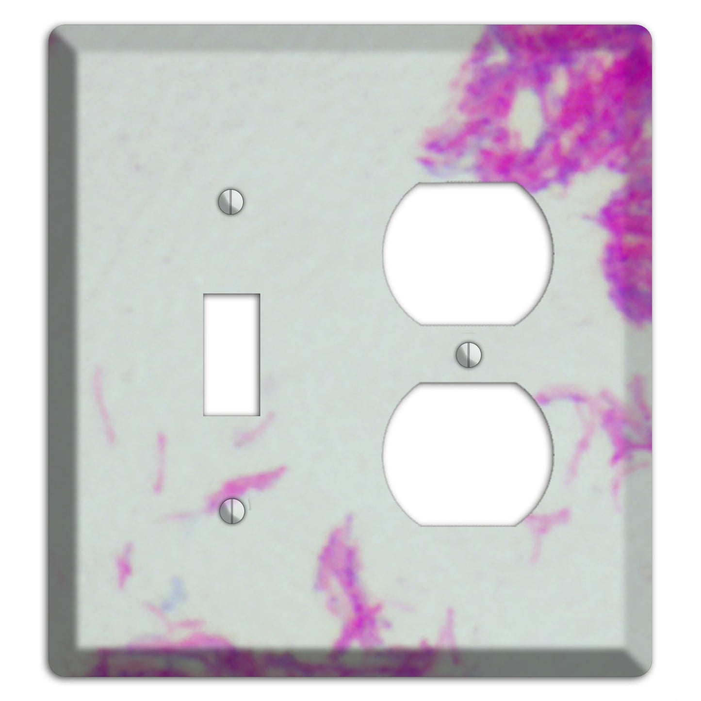 Mycobacterium Bovis Toggle / Duplex Wallplate