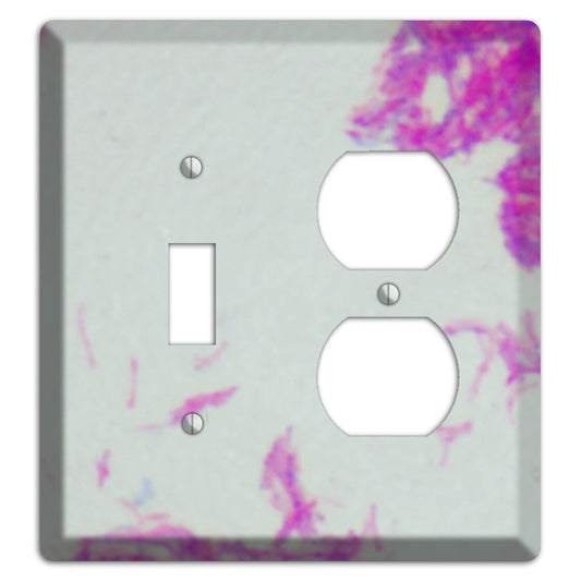 Mycobacterium Bovis Toggle / Duplex Wallplate