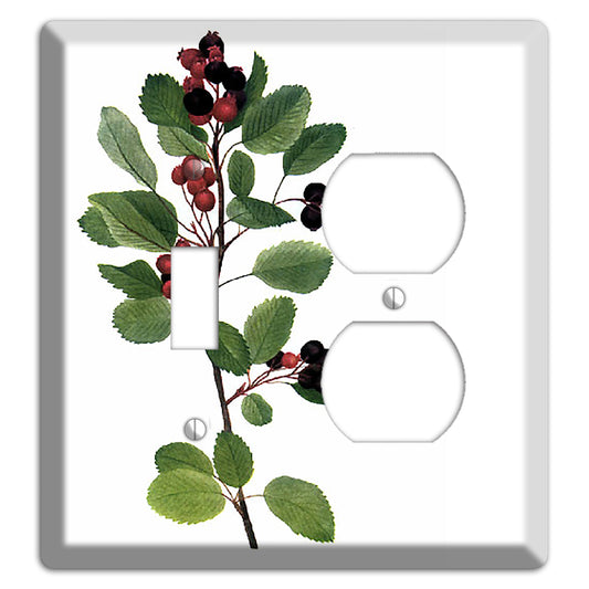 Amelanchier Ainifolia Toggle / Duplex Wallplate