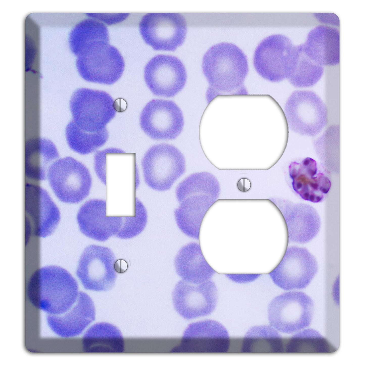 Plasmodium Malariae Schizont Toggle / Duplex Wallplate