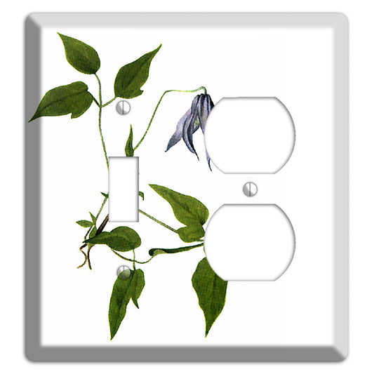 Clematis Columbiana Toggle / Duplex Wallplate