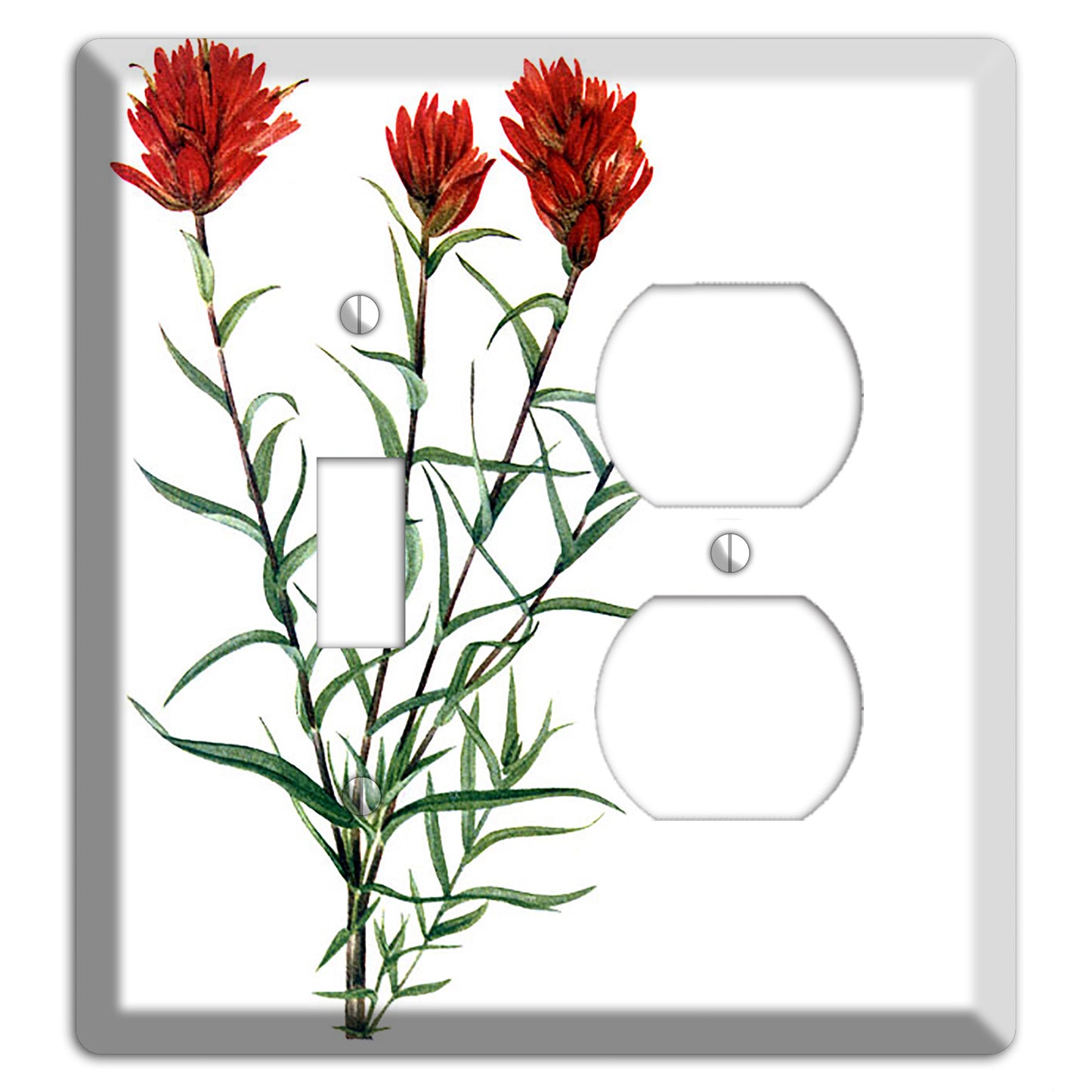 Castilleja Linarifolia Toggle / Duplex Wallplate