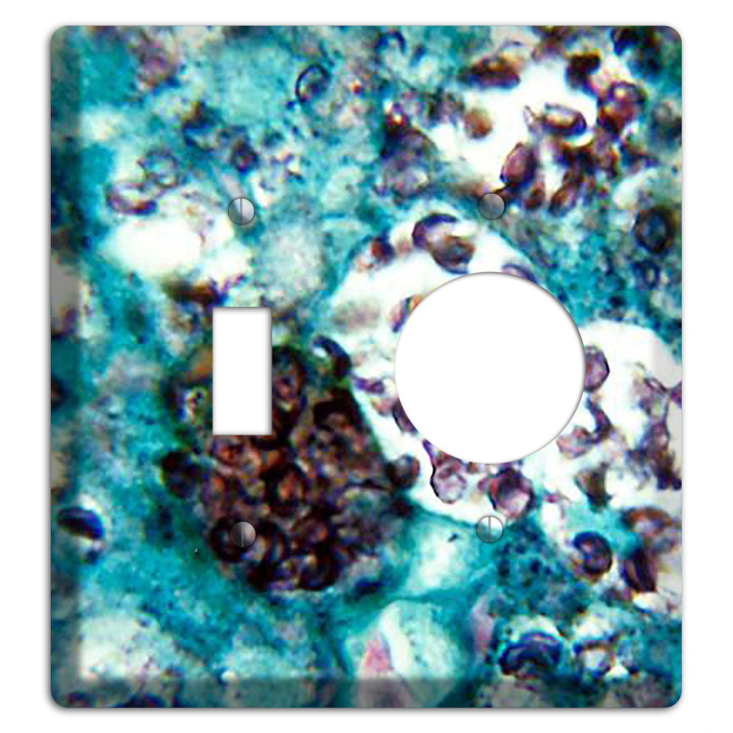 Histoplasmosis Capsulatum Toggle / Receptacle Wallplate