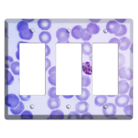 Plasmodium Malariae Schizont 3 Rocker Wallplate