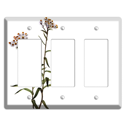 Anaphalis Margoritacea 3 Rocker Wallplate