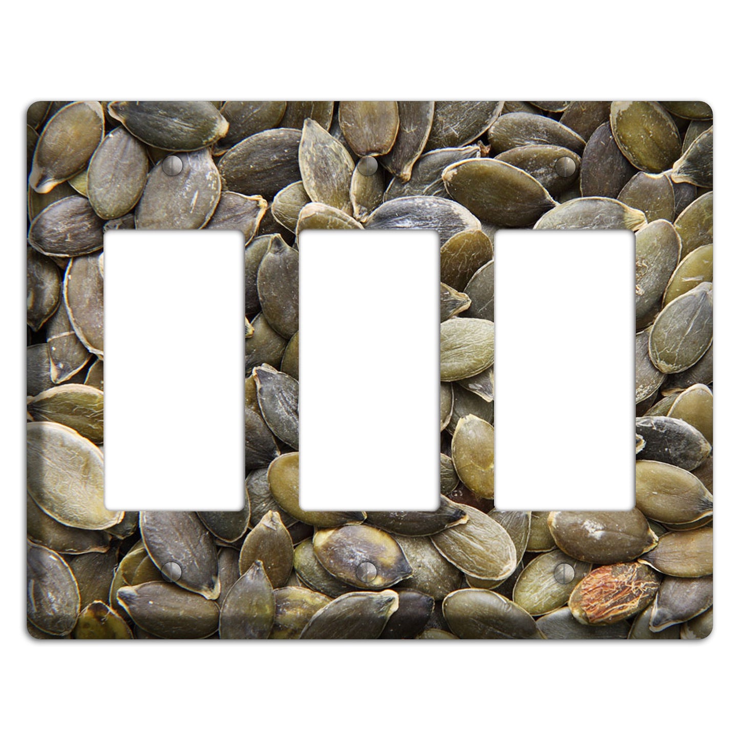 Sunflowers Seeds 3 Rocker Wallplate