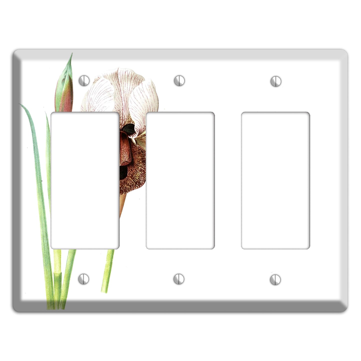 White iris 3 Rocker Wallplate